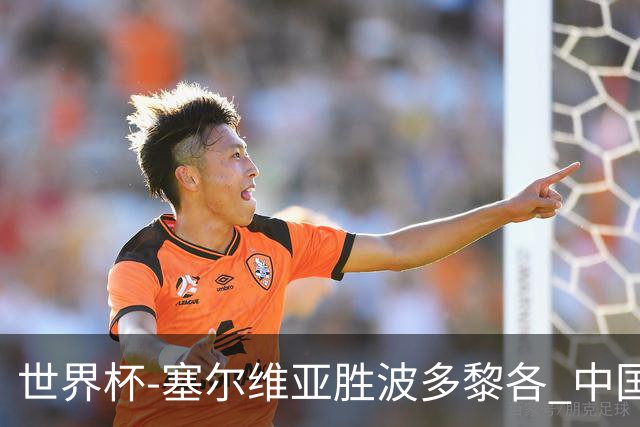 世界杯-塞尔维亚胜波多黎各 中国仍存出线可能