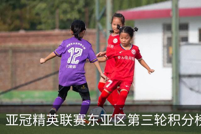 亚冠精英联赛东亚区第三轮积分榜：国安不败位列第五，海港第八