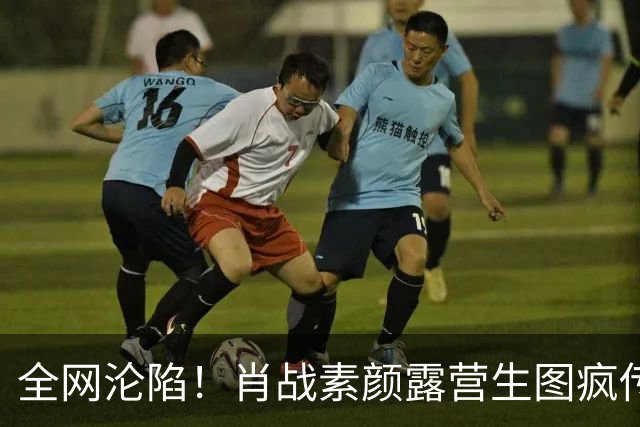 全网沦陷！肖战素颜露营生图疯传
