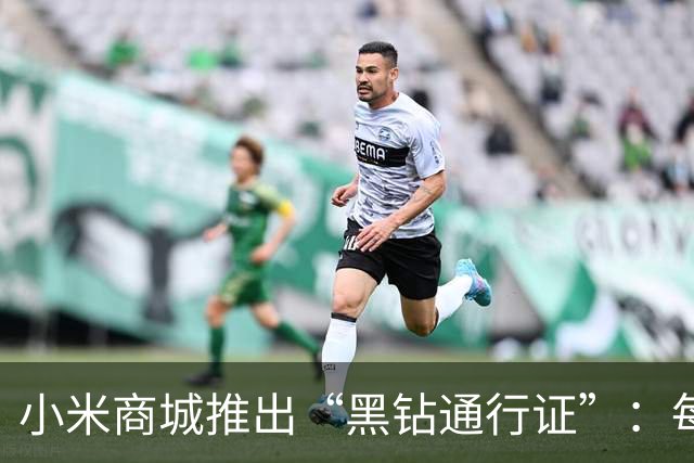 小米商城推出“黑钻通行证”：每天10点先到先得，购买赠手机挂绳盲盒/大额尊享券包等权益